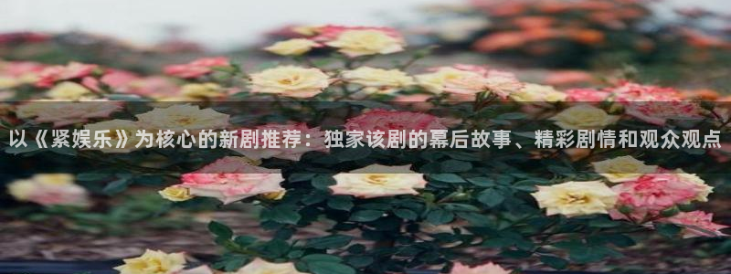 极悦开户：以《紧娱乐》为核心的新剧推荐：独家该剧的幕后故事、精彩剧情和观众观点