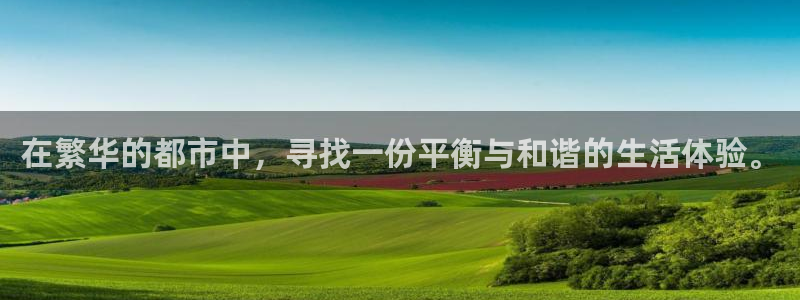 极悦注册：在繁华的都市中，寻找一份平衡与和谐的生活体验。